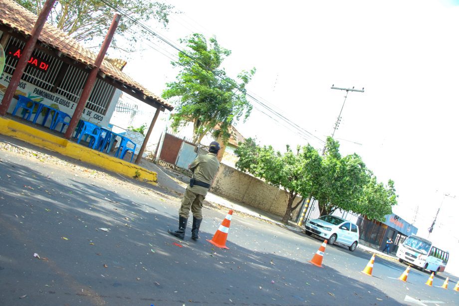 Semana da Árvore foi marcada por diversas ações e lançamento de projeto inovador