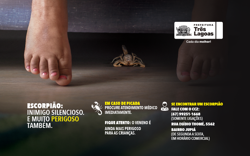 Página Inicial - News