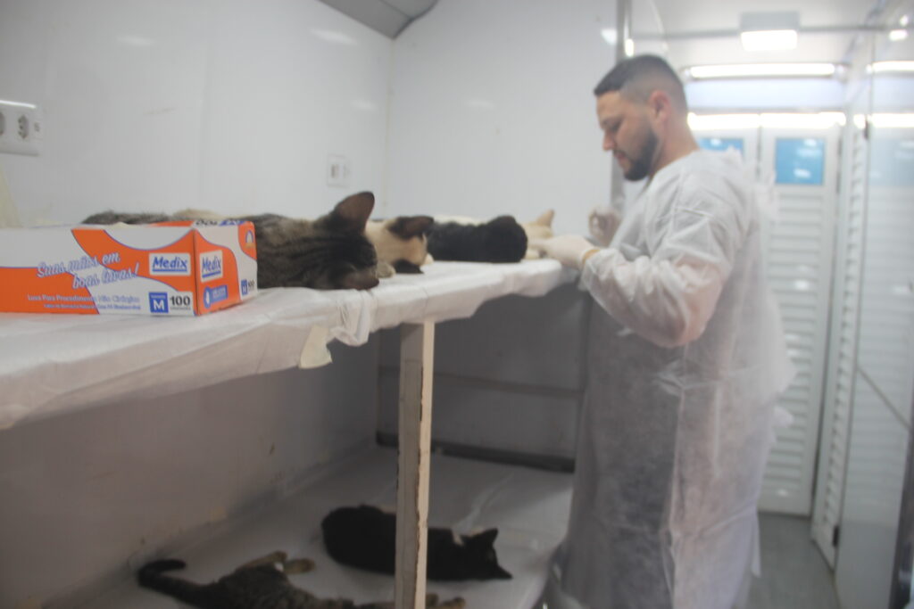 Com apoio da Prefeitura, Caravana da Castração chega a Três Lagoas