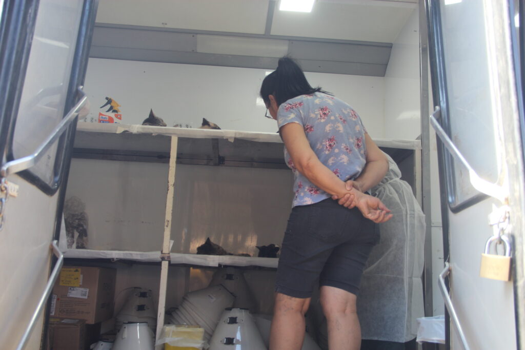 Com apoio da Prefeitura, Caravana da Castração chega a Três Lagoas