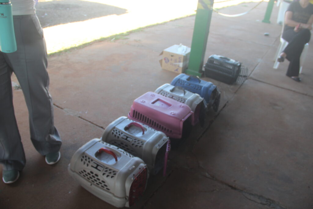 Com apoio da Prefeitura, Caravana da Castração chega a Três Lagoas