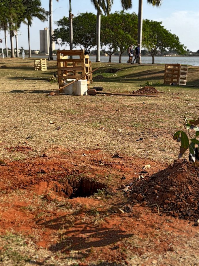 Semana da Árvore foi marcada por diversas ações e lançamento de projeto inovador