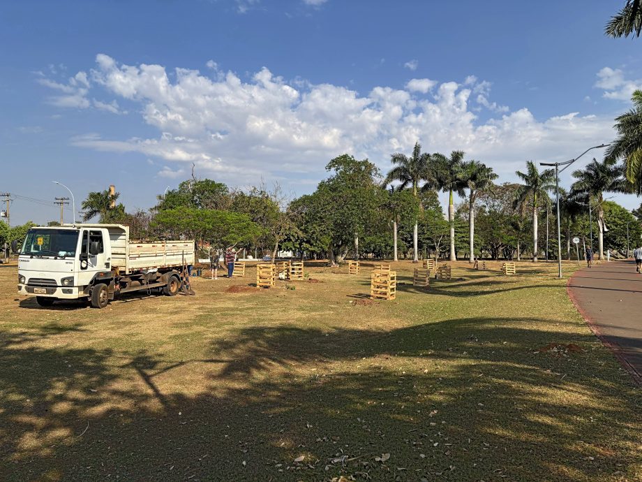 Semana da Árvore foi marcada por diversas ações e lançamento de projeto inovador