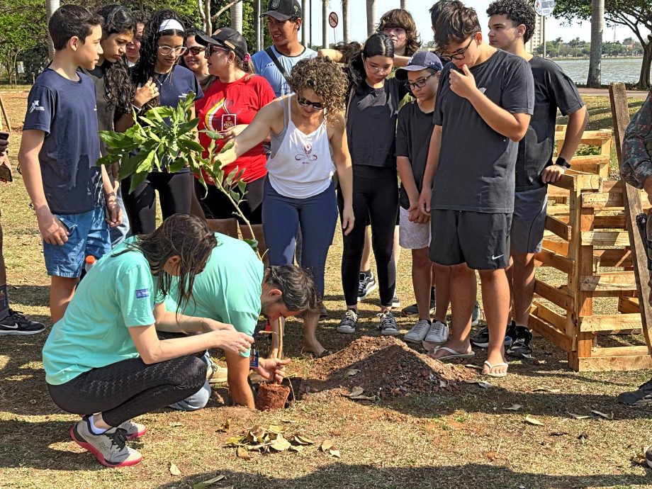 Semana da Árvore foi marcada por diversas ações e lançamento de projeto inovador