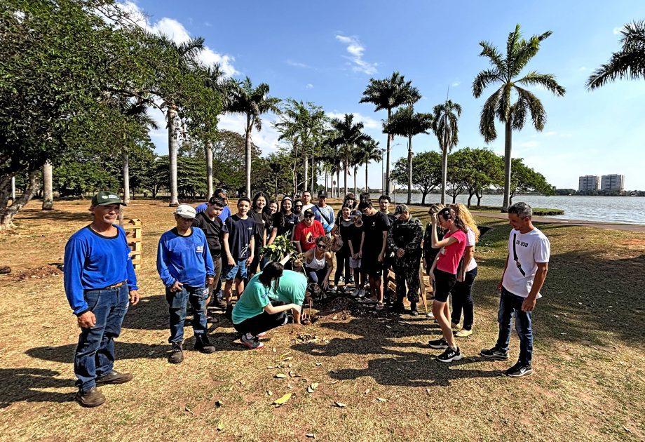 Semana da Árvore foi marcada por diversas ações e lançamento de projeto inovador