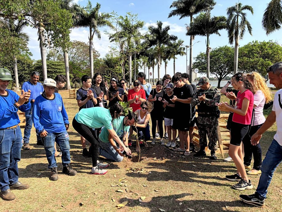 Semana da Árvore foi marcada por diversas ações e lançamento de projeto inovador