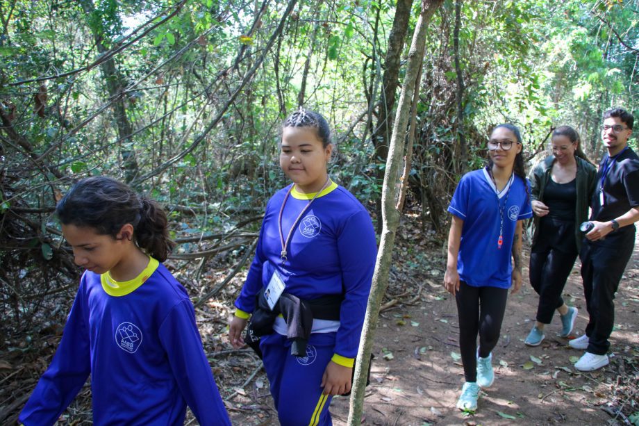 Semana da Árvore foi marcada por diversas ações e lançamento de projeto inovador