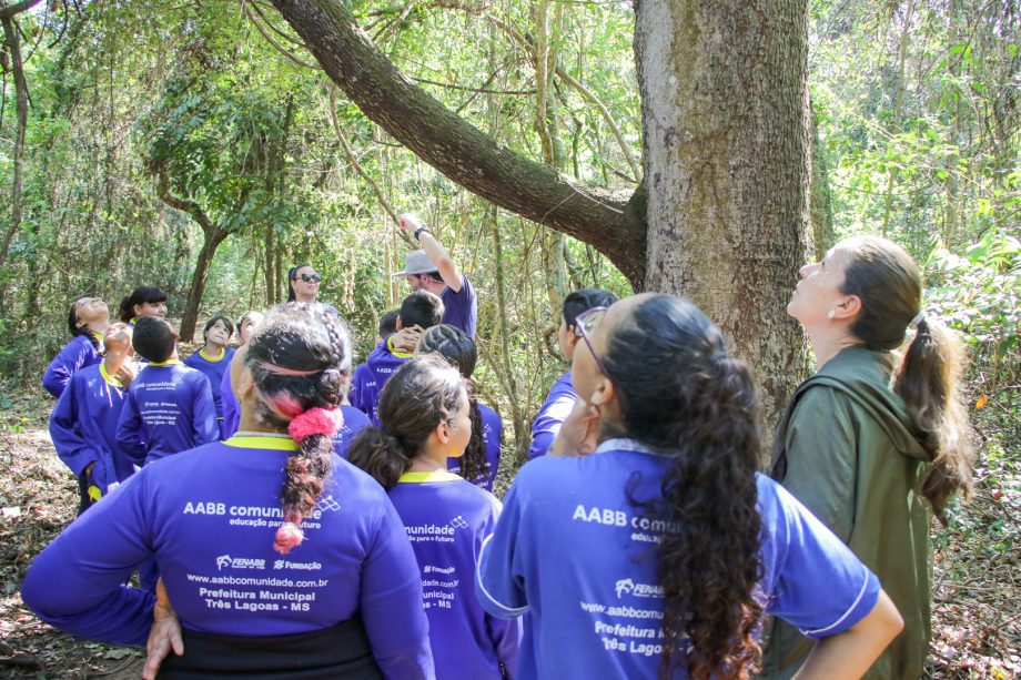 Semana da Árvore foi marcada por diversas ações e lançamento de projeto inovador