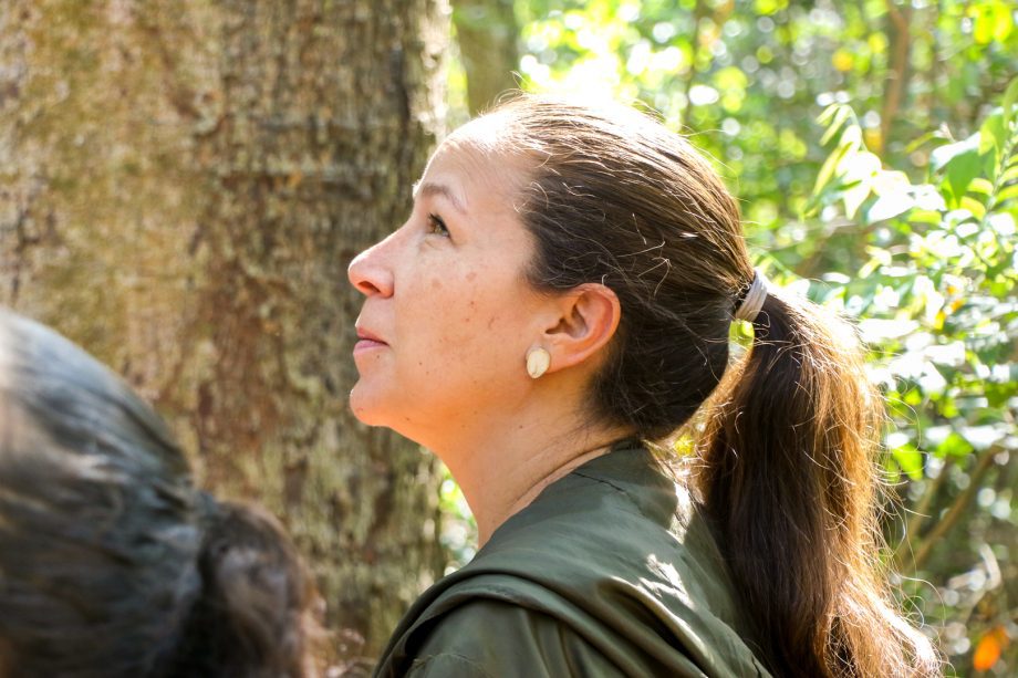 Semana da Árvore foi marcada por diversas ações e lançamento de projeto inovador