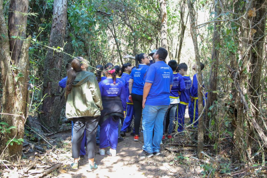 Semana da Árvore foi marcada por diversas ações e lançamento de projeto inovador