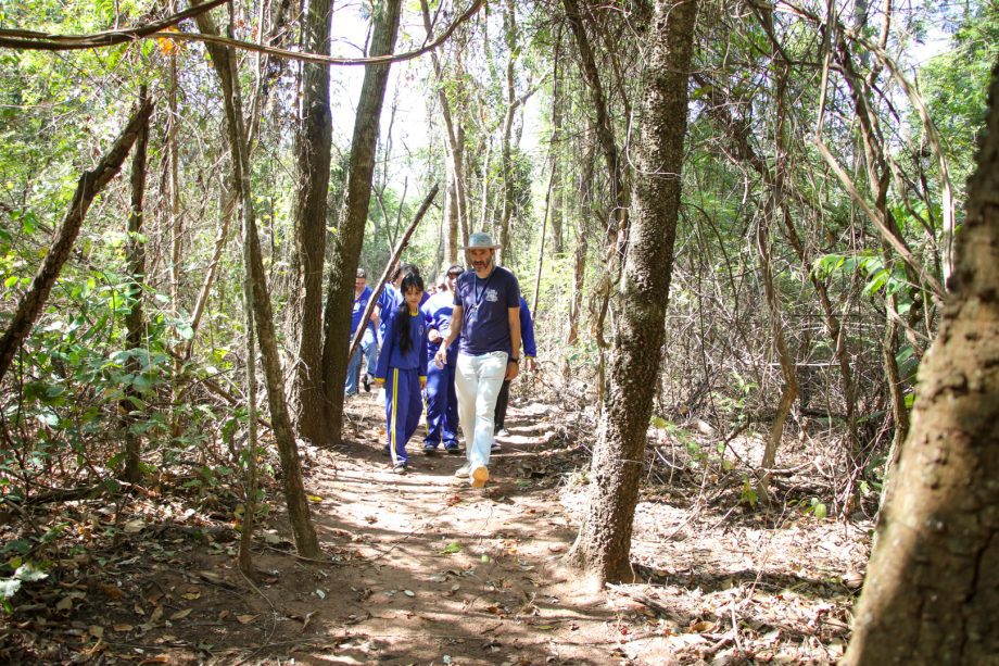 Semana da Árvore foi marcada por diversas ações e lançamento de projeto inovador