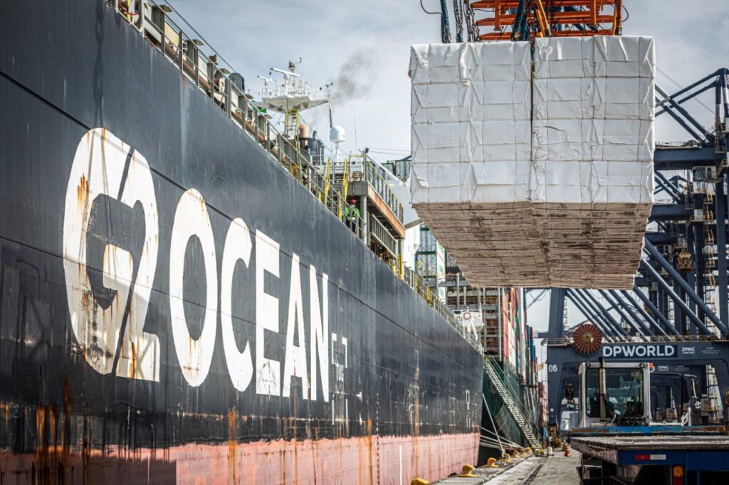 Celulose lidera exportações e garante saldo recorde para MS com aumento de 49% no 1° semestre de 2025