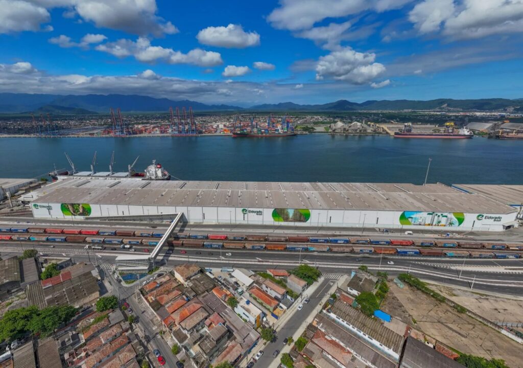 Celulose lidera exportações e garante saldo recorde para MS com aumento de 49% no 1° semestre de 2025