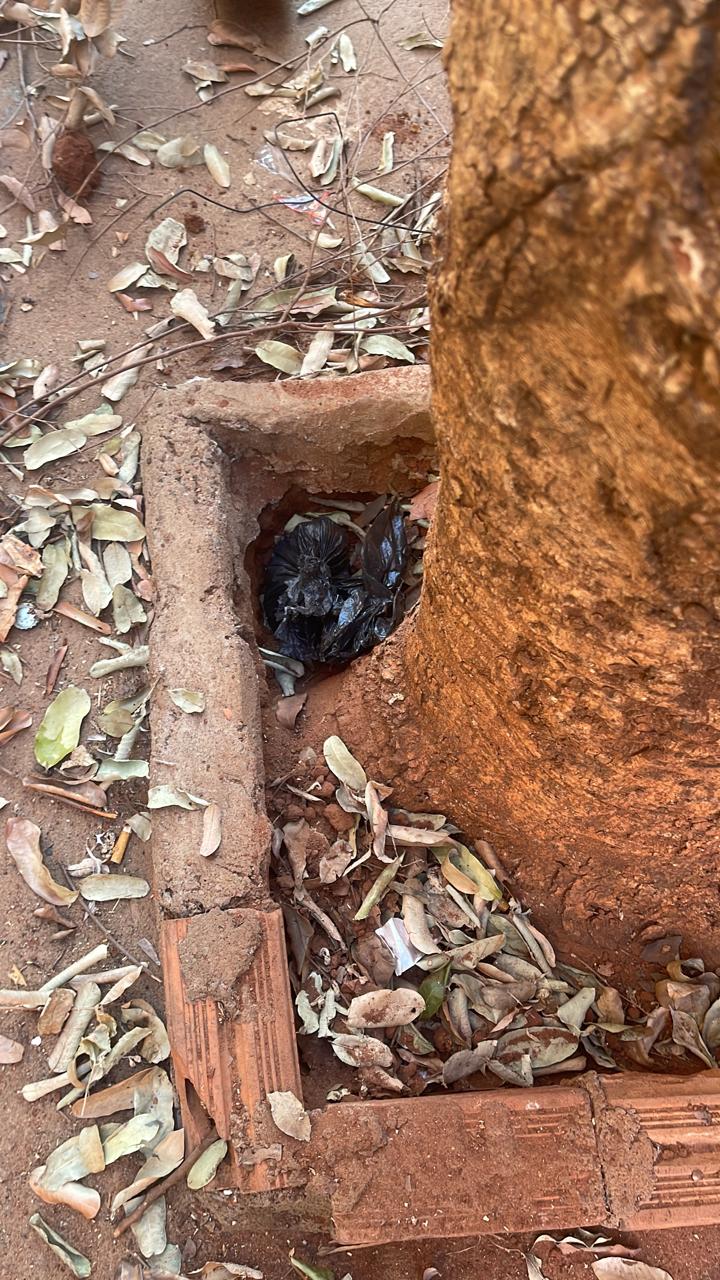 Polícia Civil prende duas pessoas e apreende um menor por tráfico de drogas em Aparecida do Taboado Polícia Civil prende duas pessoas e apreende um menor por tráfico de drogas em Aparecida do Taboado