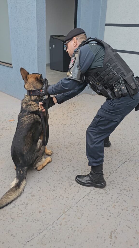 Forças Policiais de MS E SP deflagraram Operação em repressão a associação criminosa contra o tráfico de drogas e armas com sede em TL