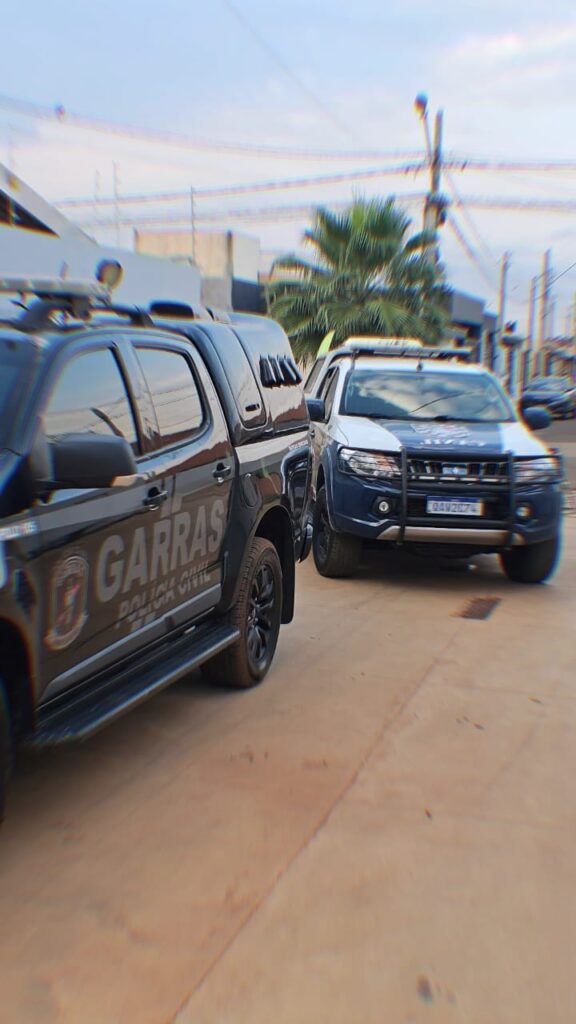 Forças Policiais de MS E SP deflagraram Operação em repressão a associação criminosa contra o tráfico de drogas e armas com sede em TL