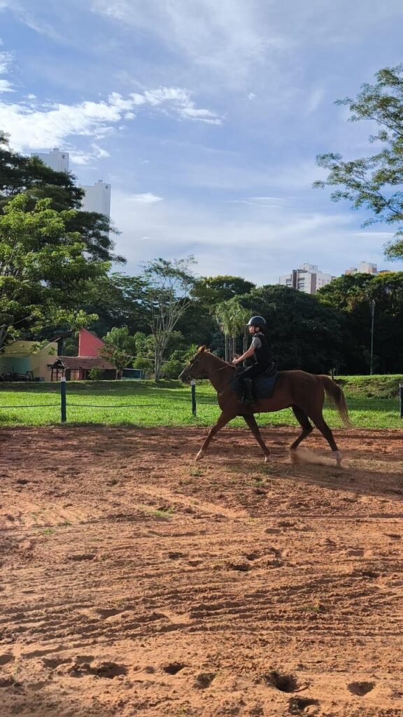 Escola pública de equitação traz inclusão e fortalece vínculo social com alunos da Rede Estadual de Ensino