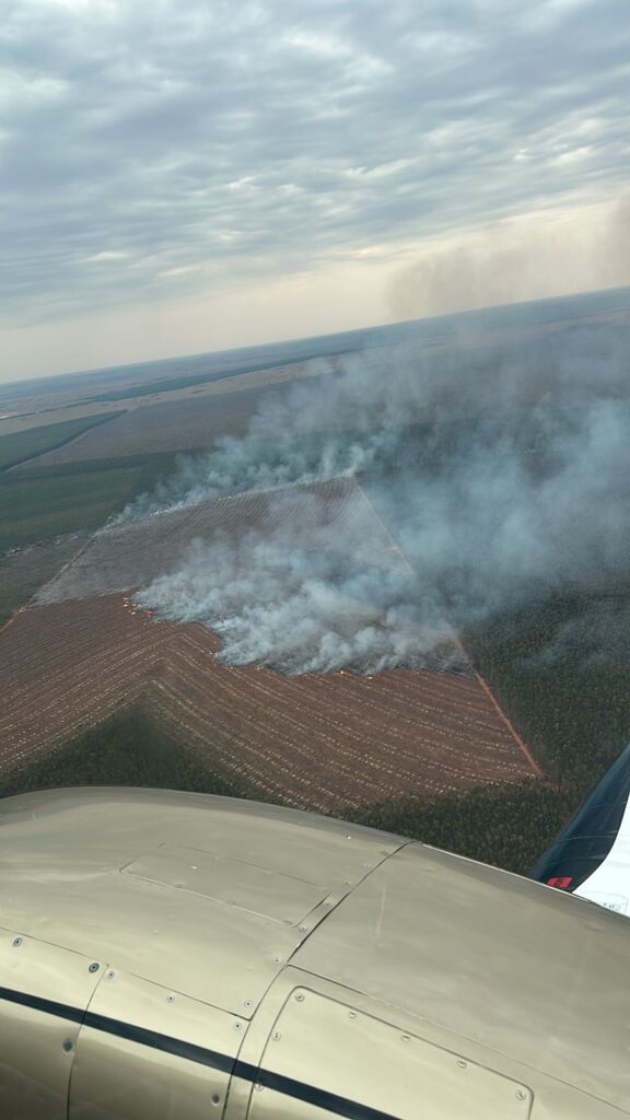 Setembro termina com alerta: mais de dez incêndios atingem o Vale da Celulose em MS