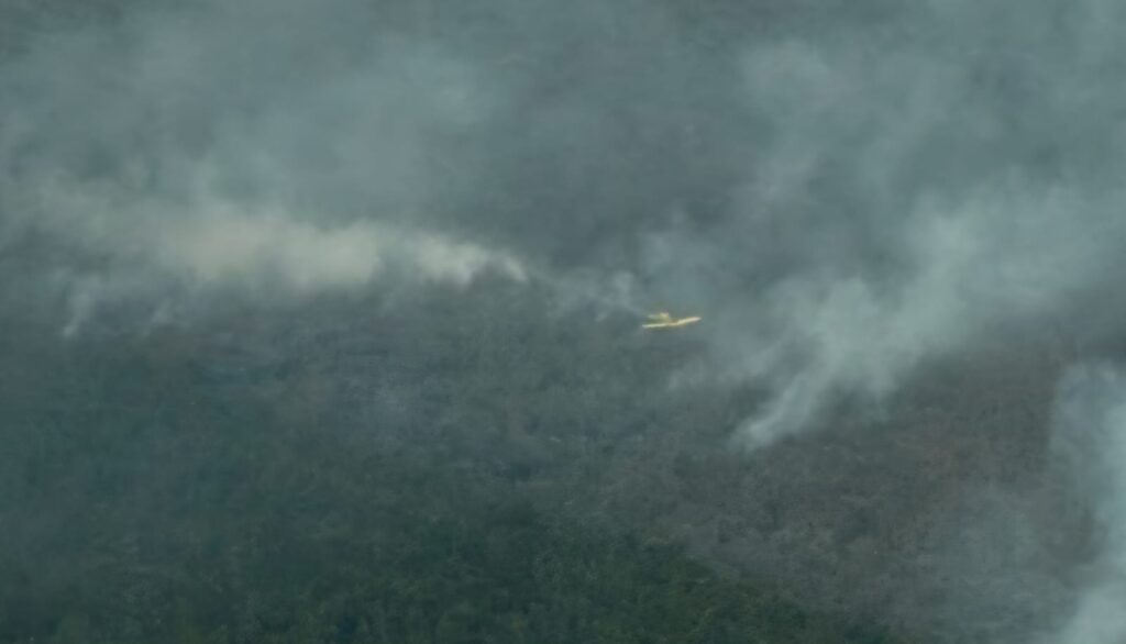 Setembro termina com alerta: mais de dez incêndios atingem o Vale da Celulose em MS