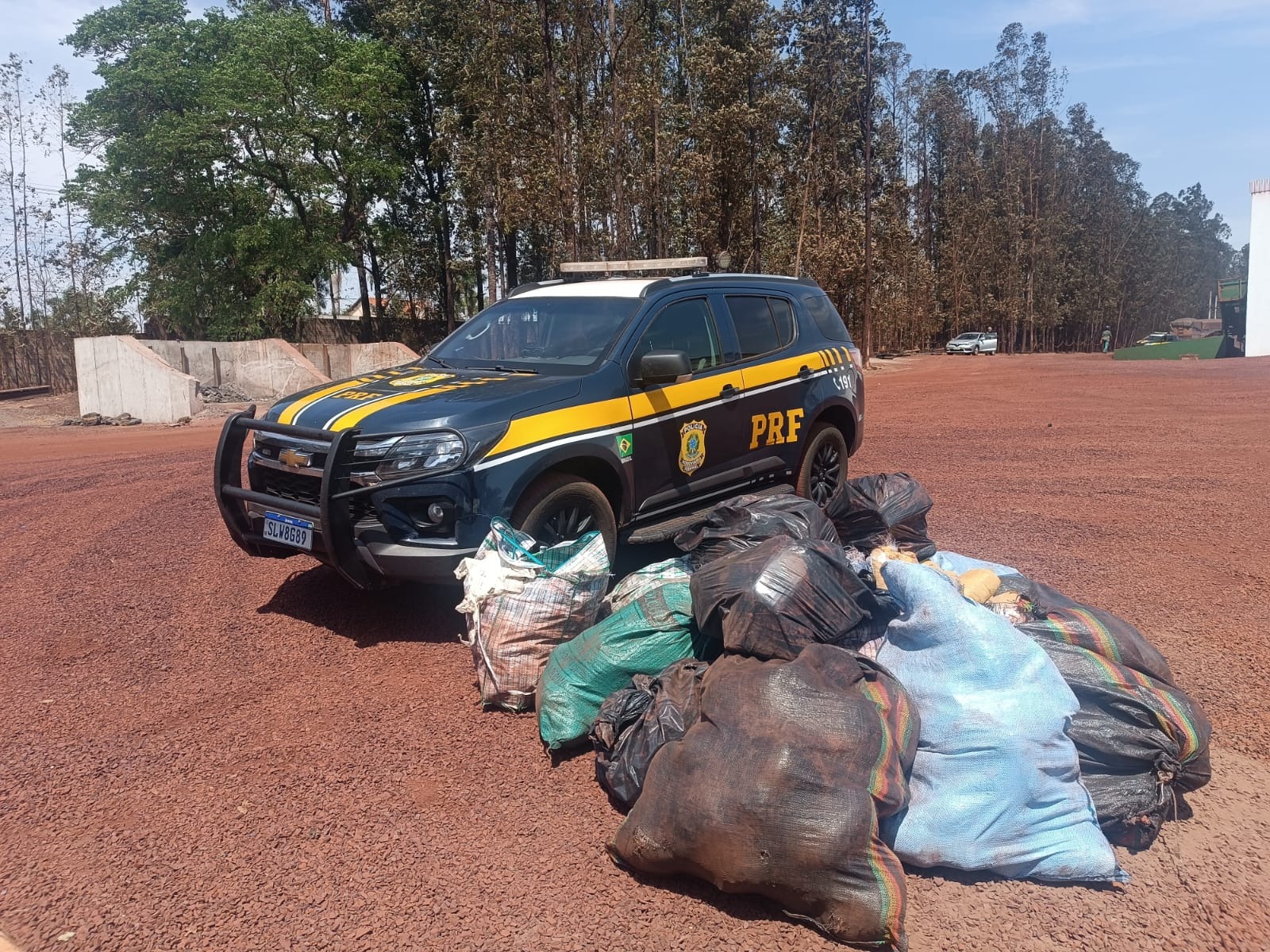 PRF apreende mais de 460 kg de cocaína e skunk na BR-262