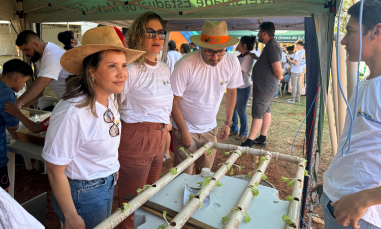 UEMS conquista reconhecimento da ONU e assume vice-presidência global de Extensão Universitária  