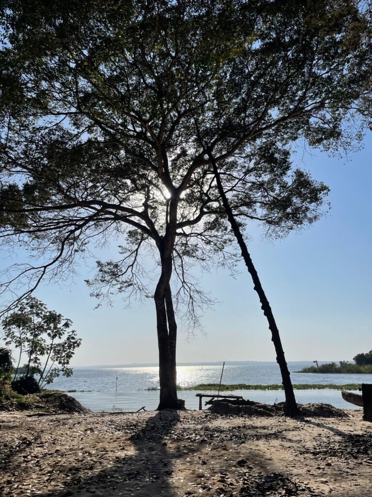 Mata Cascalheira: o novo refúgio de lazer e inclusão em Três Lagoas