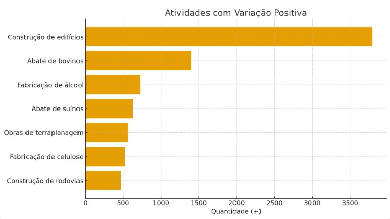 Celulose transforma pequenos municípios em campeões da geração de empregos em MS