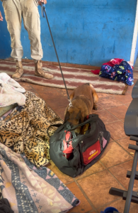 Polícia Civil realiza operação integrada para reprimir o tráfico de drogas e restabelecer a ordem pública em Campo Grande Polícia Civil realiza operação integrada para reprimir o tráfico de drogas e restabelecer a ordem pública em Campo Grande