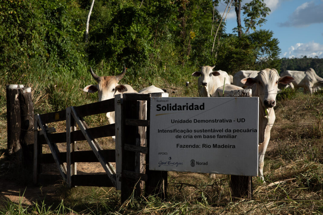 107a4fab-e54a0629 (1)