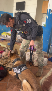 Polícia Civil realiza operação integrada para reprimir o tráfico de drogas e restabelecer a ordem pública em Campo Grande Polícia Civil realiza operação integrada para reprimir o tráfico de drogas e restabelecer a ordem pública em Campo Grande