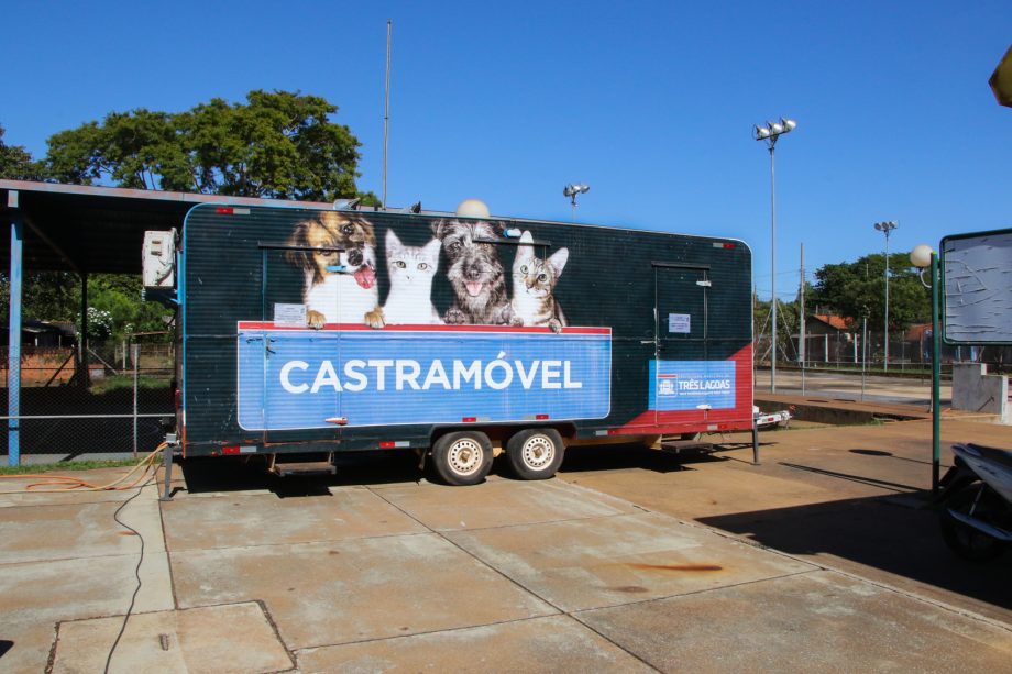 CASTRAMOVEL-24-06-jupia-2-scaled