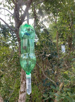 Suzano utiliza gravadores de som e DNA ambiental em iniciativa pioneira de monitoramento da biodiversidade em MS Suzano utiliza gravadores de som e DNA ambiental em iniciativa pioneira de monitoramento da biodiversidade em MS