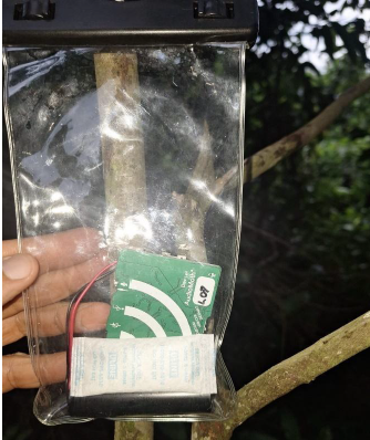 Suzano utiliza gravadores de som e DNA ambiental em iniciativa pioneira de monitoramento da biodiversidade em MS Suzano utiliza gravadores de som e DNA ambiental em iniciativa pioneira de monitoramento da biodiversidade em MS