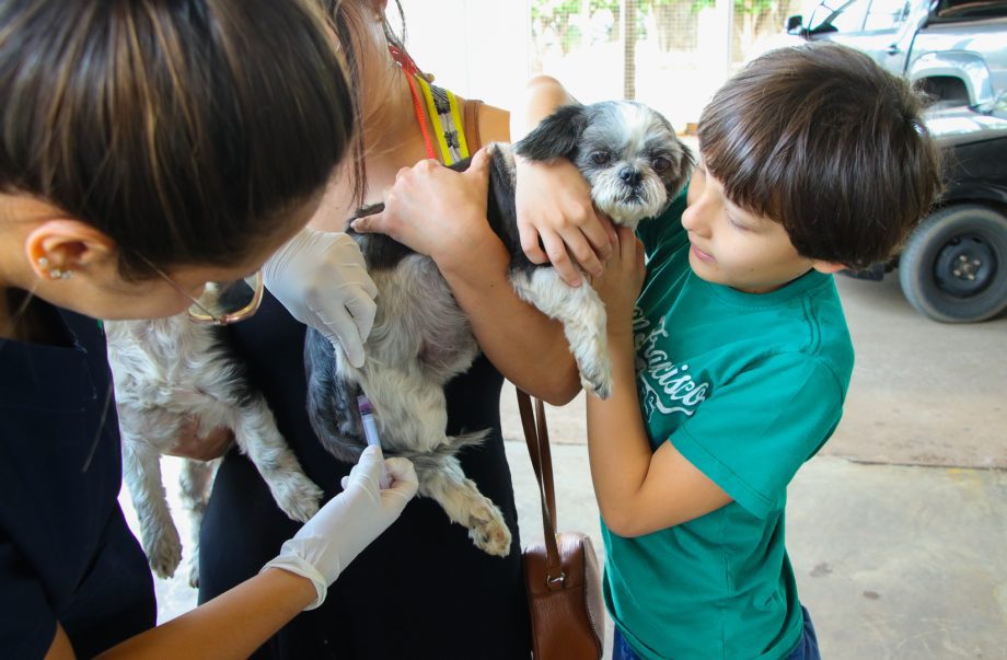 VACINACAO-ANTI-RABICA-04-10-3-scaled