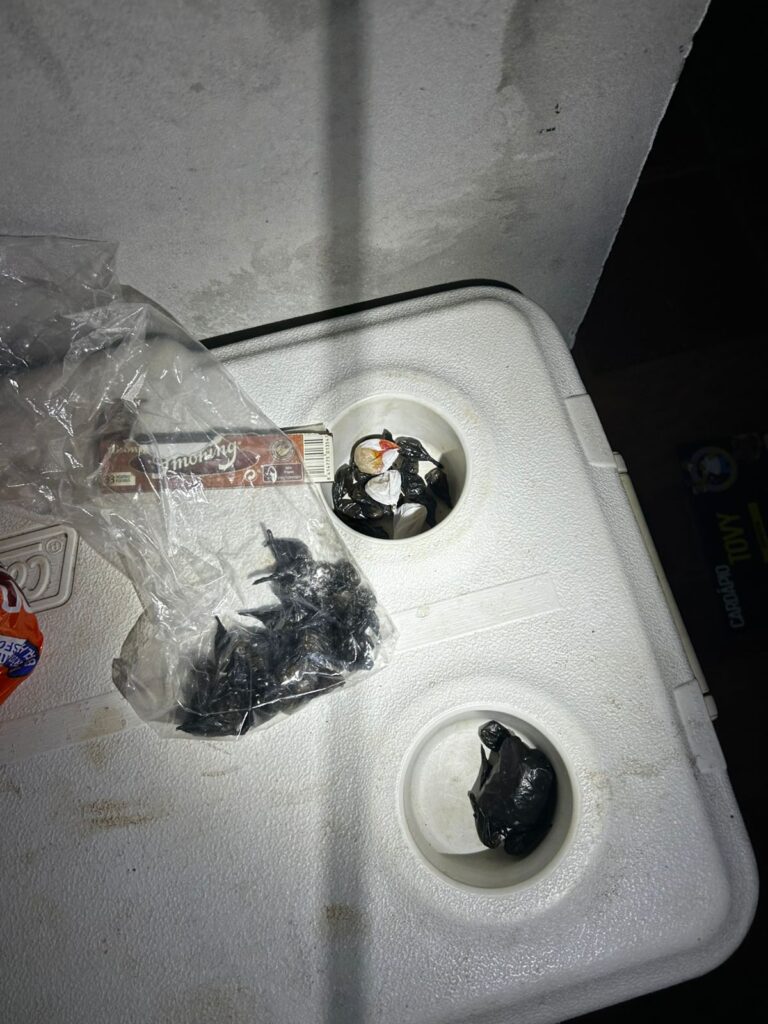 Polícia Civil prende mãe e filho por tráfico de Drogas em Dourados