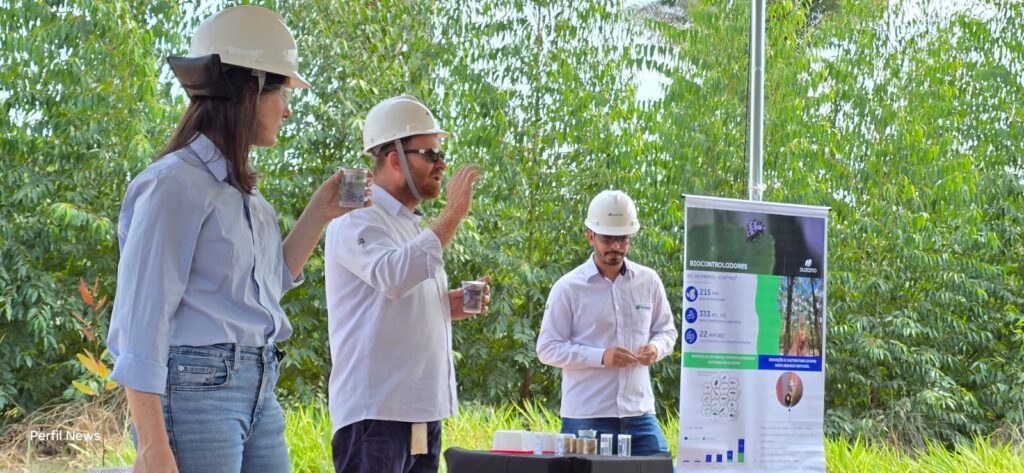 ILPF: a estratégia que une Suzano e produtores rurais em um modelo de lucro sustentável