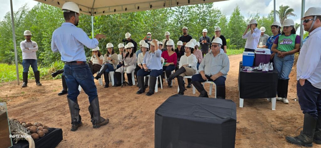 ILPF: a estratégia que une Suzano e produtores rurais em um modelo de lucro sustentável