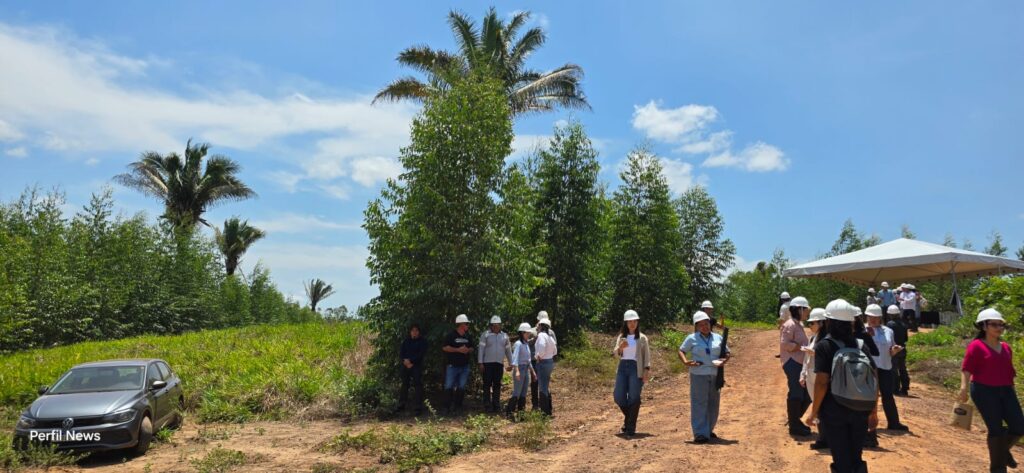 ILPF: a estratégia que une Suzano e produtores rurais em um modelo de lucro sustentável