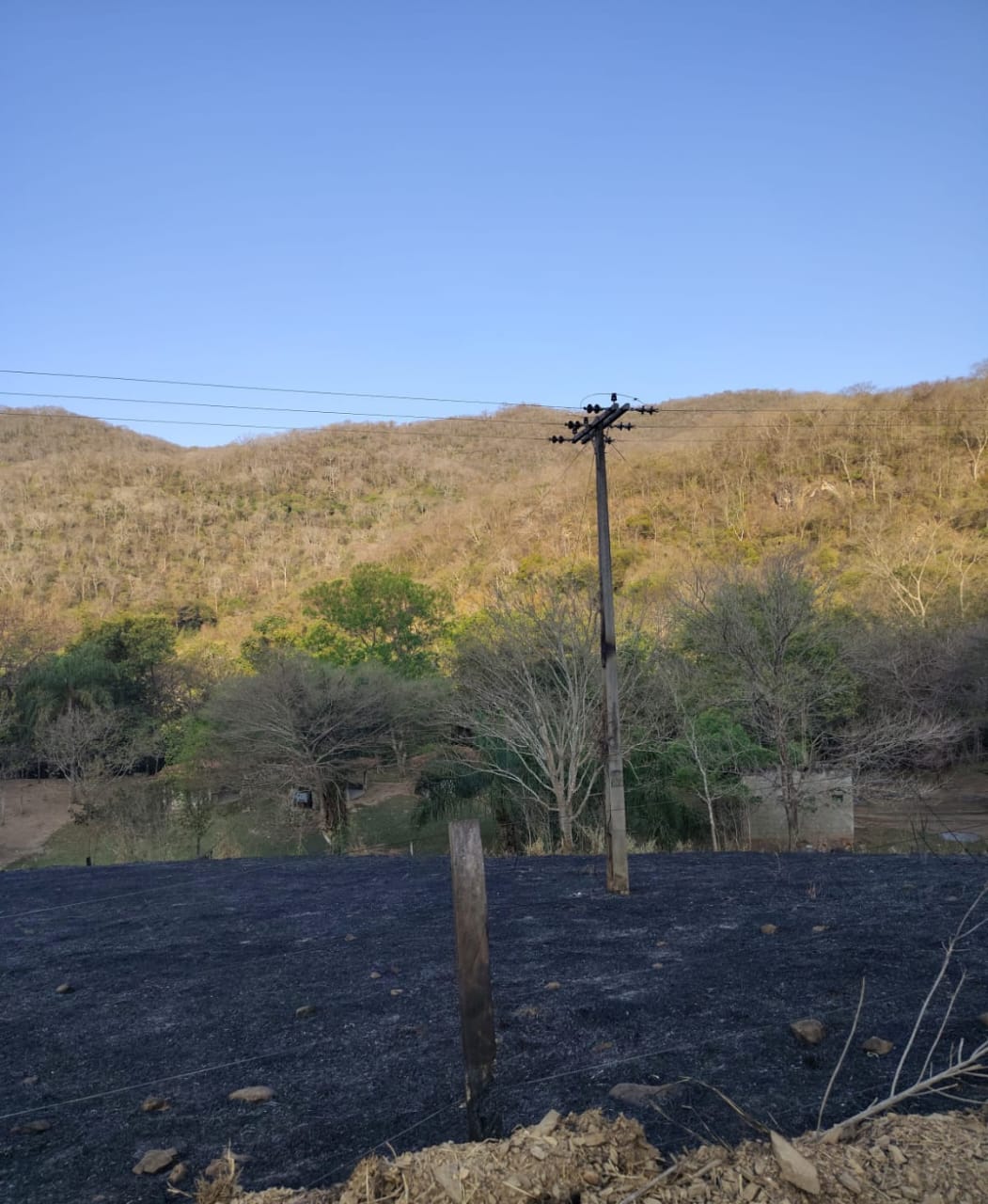 Operação Focus: combate a queimadas ilegais em MS é intensificado e multas já ultrapassam R$ 34 milhões