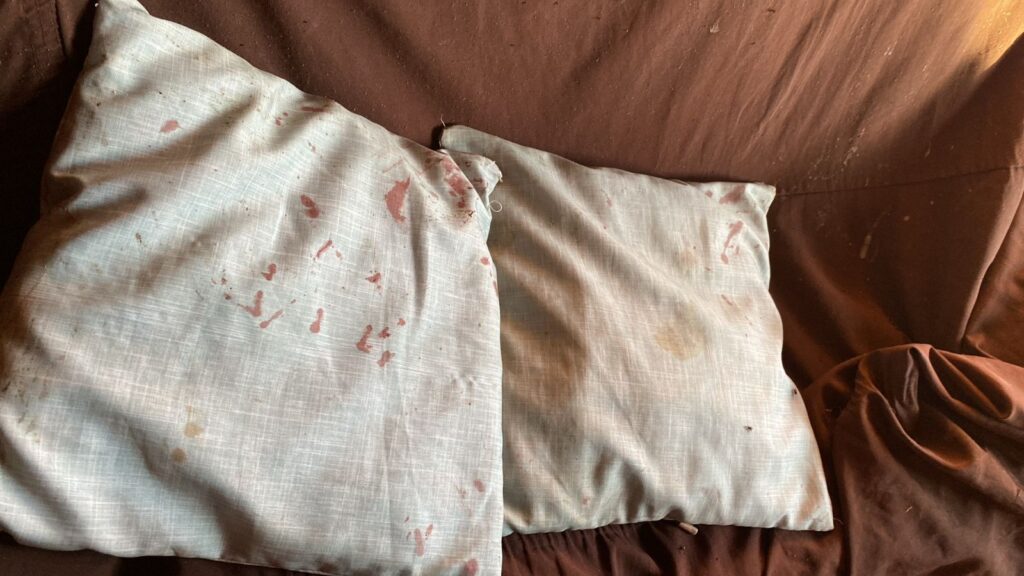 Mulher é presa em flagrante por feminicído de companheira em Três Lagoas Mulher é presa em flagrante por feminicído de companheira em Três Lagoas