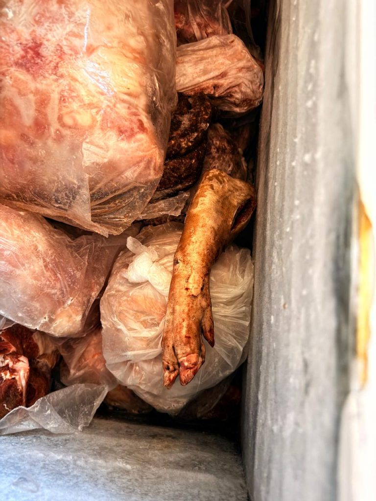 Polícia Civil realiza fiscalização em mercados de Jaraguari e apreende mais de 900 quilos de produtos impróprios para consumo Polícia Civil realiza fiscalização em mercados de Jaraguari e apreende mais de 900 quilos de produtos impróprios para consumo