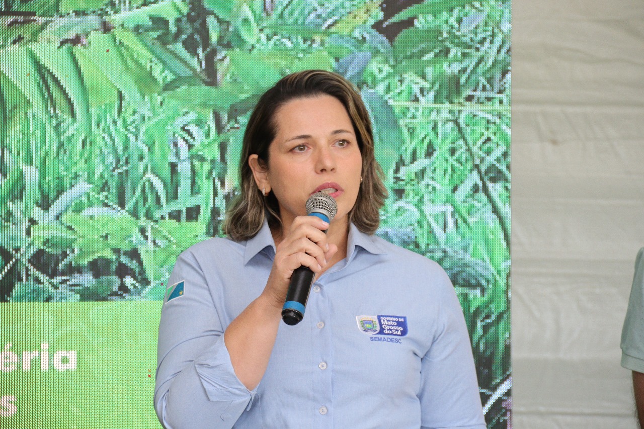 Agricultura familiar vive momento de relevância com sistema agroflorestal e economia de carbono Agricultura familiar vive momento de relevância com sistema agroflorestal e economia de carbono