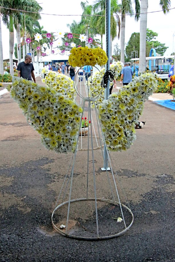 Mesmo com chuva, mais de 15 mil pessoas participam das celebrações do Dia de Finados em Três Lagoas Mesmo com chuva, mais de 15 mil pessoas participam das celebrações do Dia de Finados em Três Lagoas