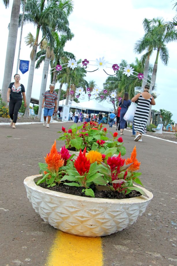 Mesmo com chuva, mais de 15 mil pessoas participam das celebrações do Dia de Finados em Três Lagoas Mesmo com chuva, mais de 15 mil pessoas participam das celebrações do Dia de Finados em Três Lagoas