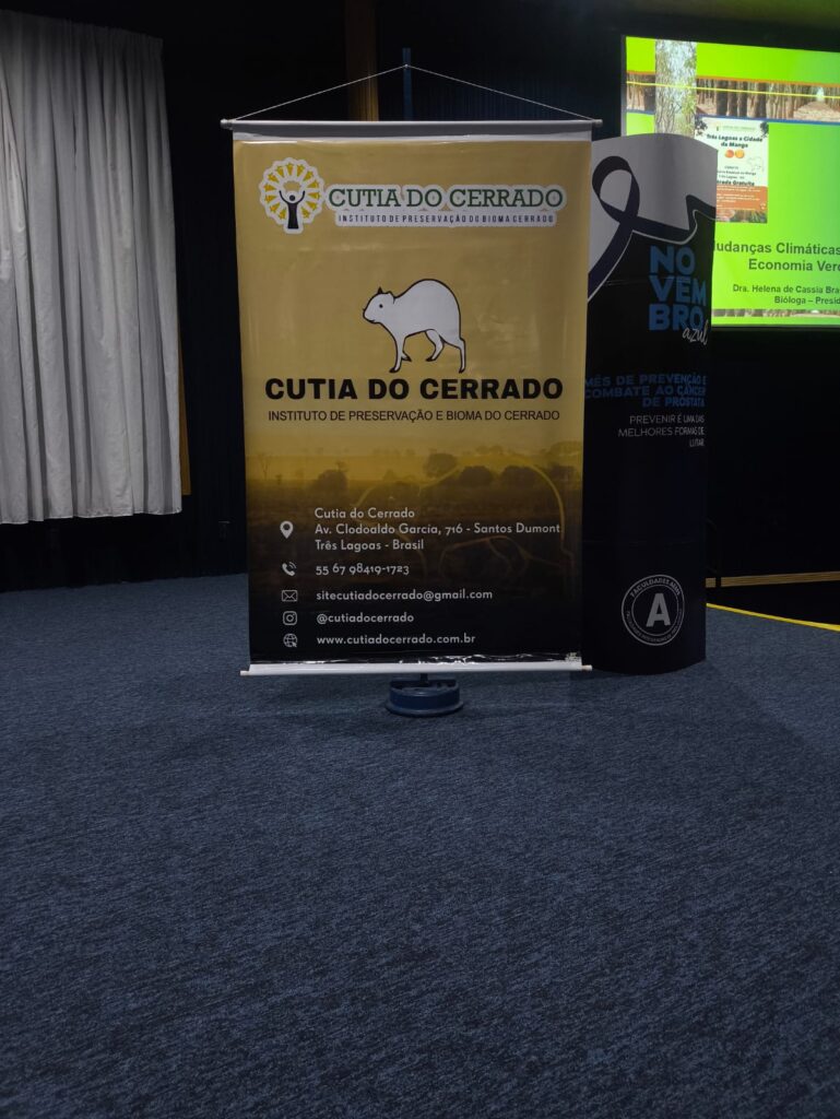 Três Lagoas celebra o sucesso do 1º Seminário Estadual da Manga com vivência prática e inovação no campo