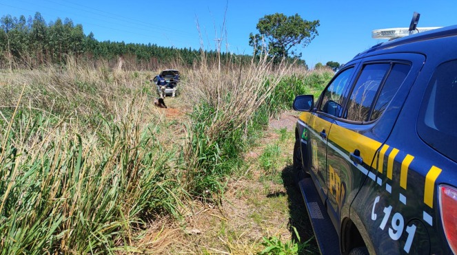 PRF apreende 107 Kg de maconha em Água Clara