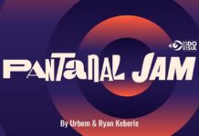 Projeto ‘Pantanal Jam’ leva o som do coração selvagem do Brasil a Nova York