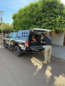 Polícias Civis de SC, MS e PI deflagram Operação e prendem quadrilha especializada no golpe do falso advogado