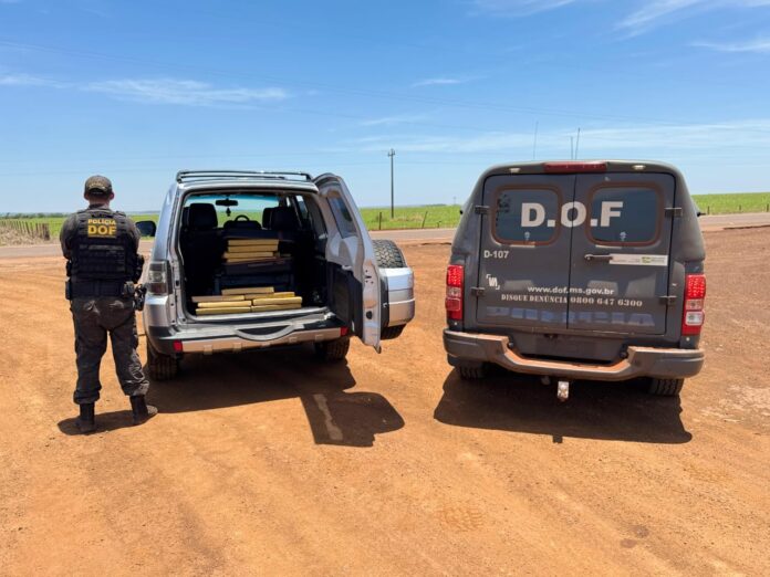 WhatsApp-Image-2025-11-12-at-14.35.41