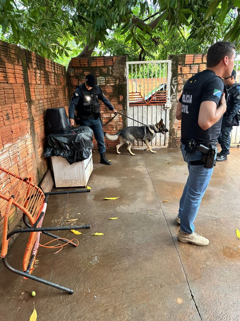 Cinco pessoas são presas e armas de fogo, munições e drogas são apreendidas durante 'Operação' em Três Lagoas e Araçatuba Cinco pessoas são presas e armas de fogo, munições e drogas são apreendidas durante 'Operação' em Três Lagoas e Araçatuba